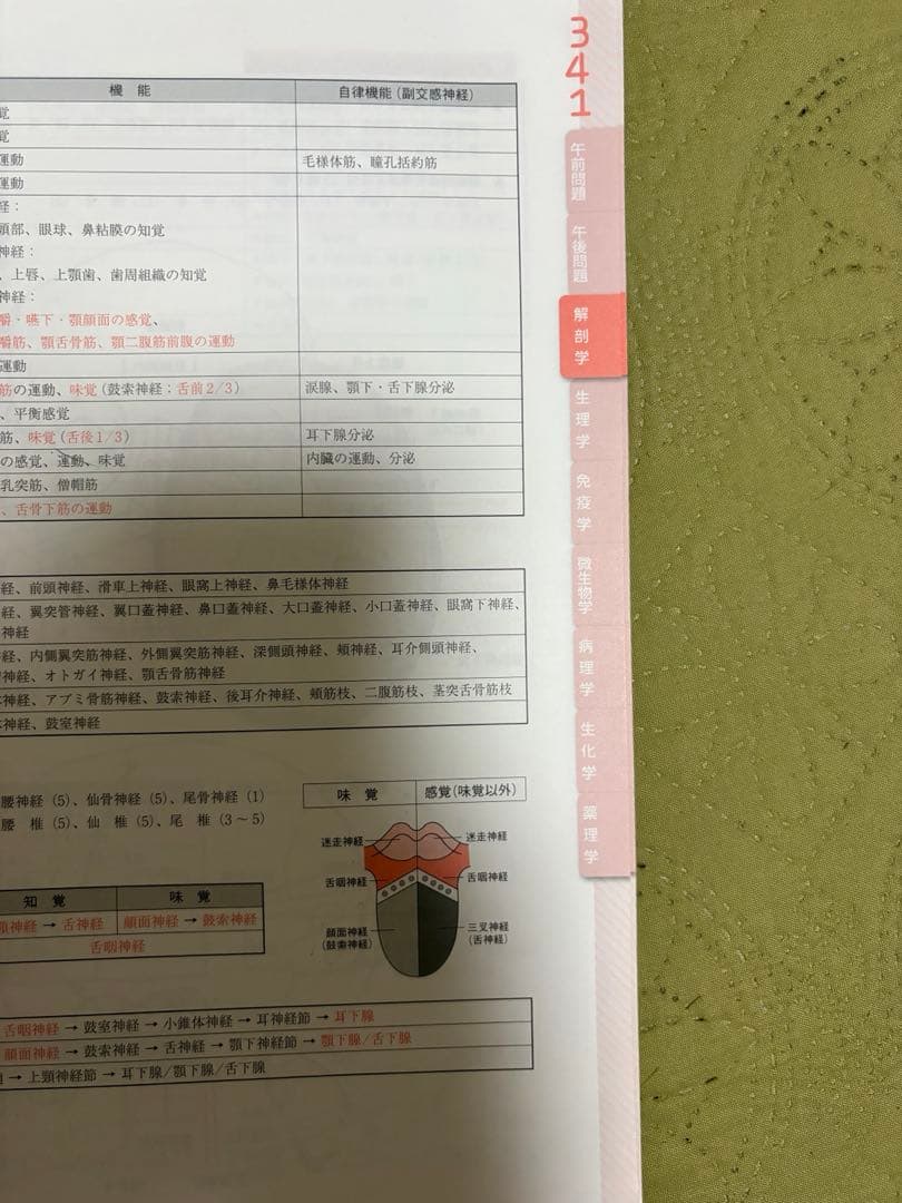 歯科衛生士 要点集 医歯薬模試 — image 2