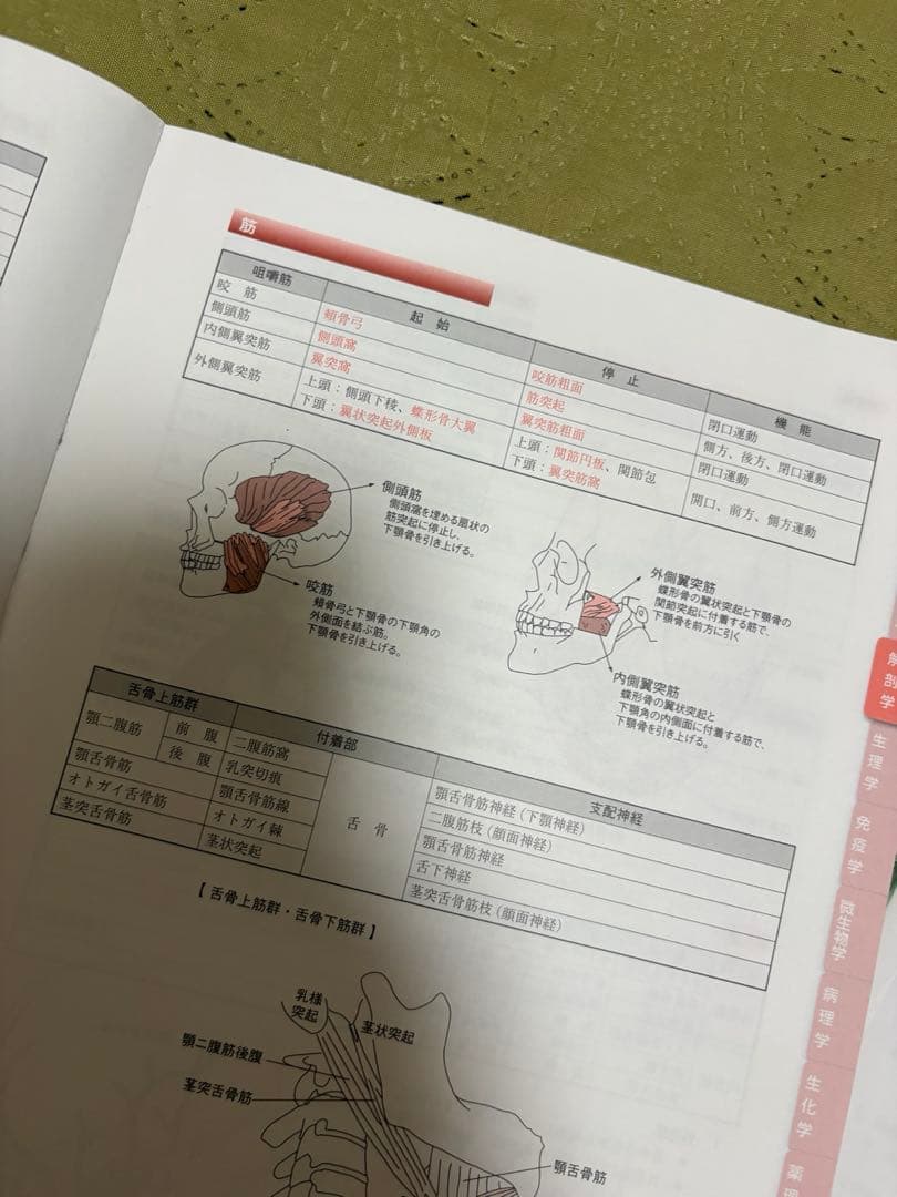 歯科衛生士 要点集 医歯薬模試 — image 3