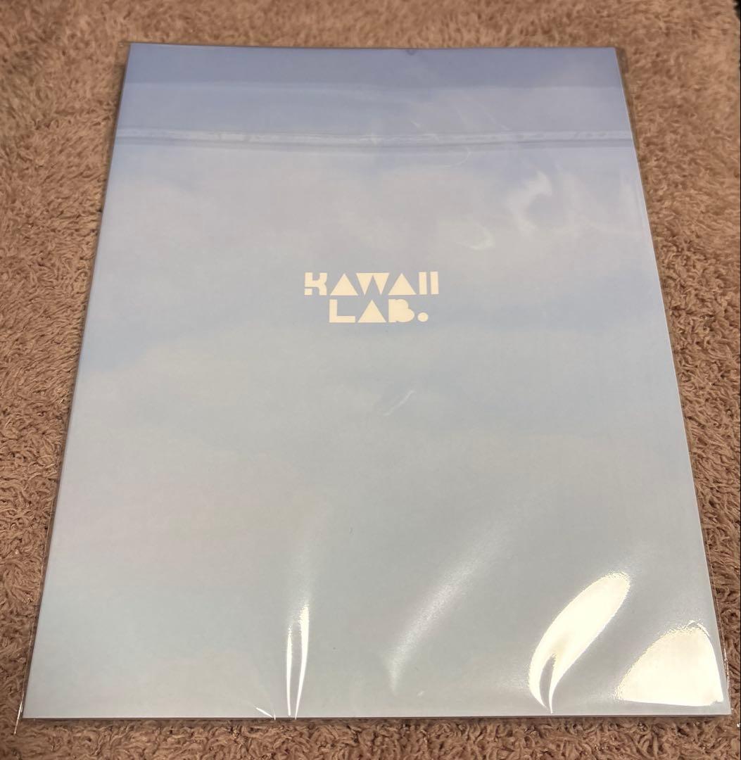 KAWAII LAB.honey 写真集 — image 2