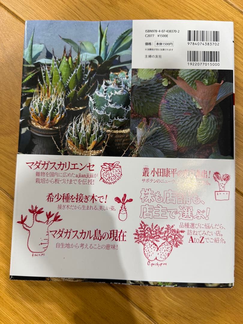 Bplants ビザールプランツ 夏型 珍奇植物最新情報 — image 2