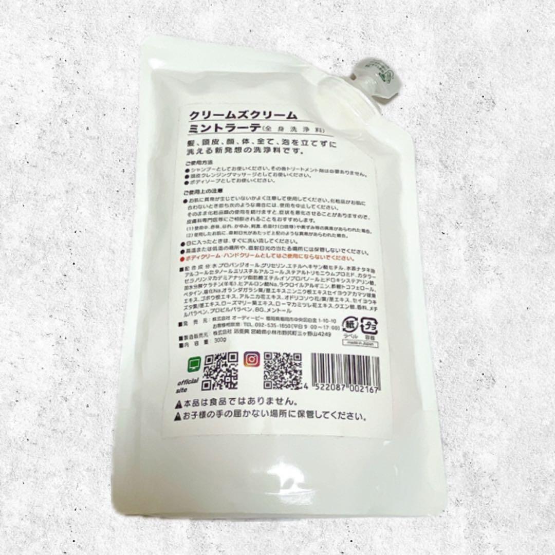 【新品未開封】クリームズクリーム　ミントラーテ　300g — image 2