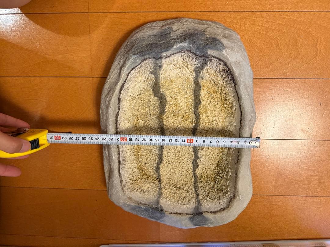 爬虫類用 水入れ 浅め — image 3