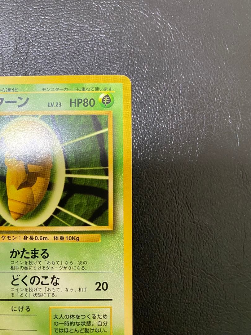 コクーン　旧裏　② — image 3