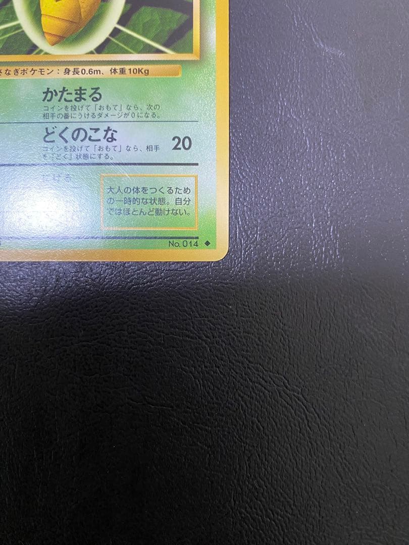 コクーン　旧裏　② — image 4
