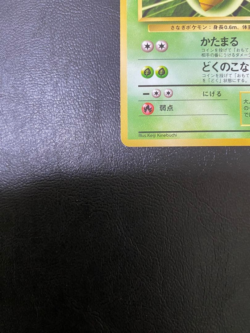 コクーン　旧裏　② — image 5