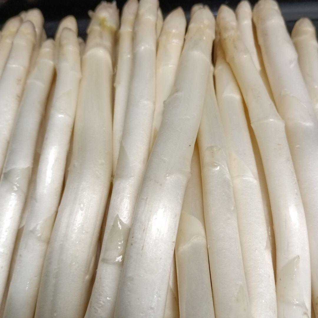 ホワイトアスパラガスB級品【700g】 露地栽培 — image 3