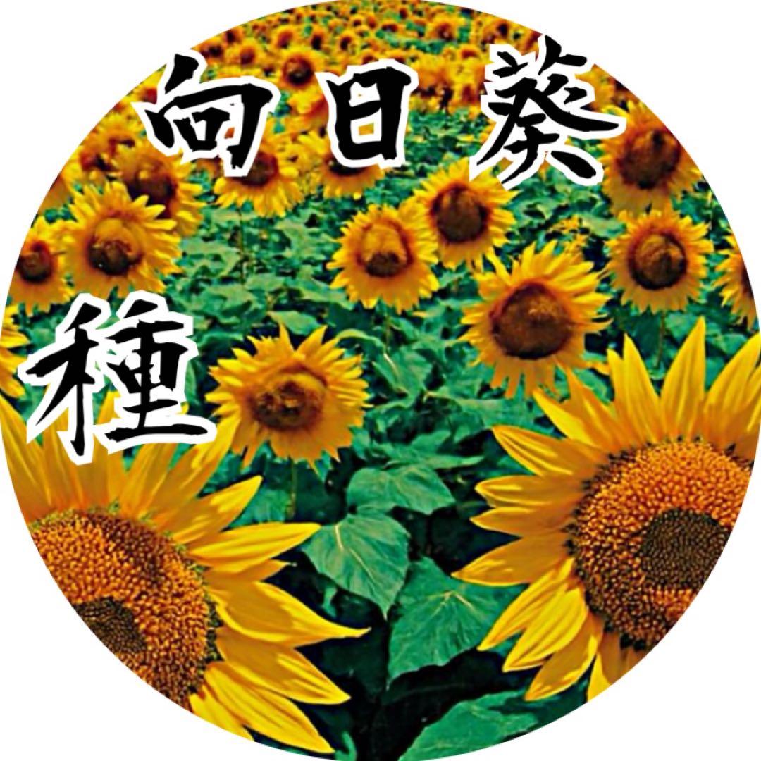 Giorgia f様 リクエスト 10点 まとめ商品 — image 2