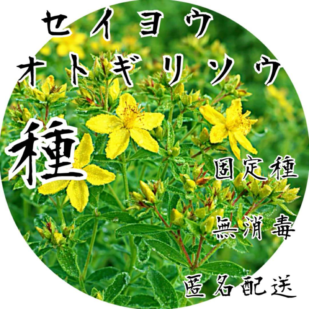 Giorgia f様 リクエスト 10点 まとめ商品 — image 4