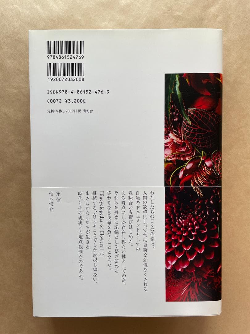 植物図鑑 ENCYCLOPEDIA OF FLOWERS 2 東信　椎木俊介 — image 2