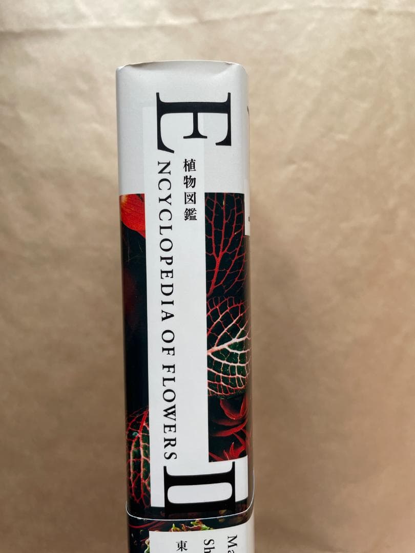 植物図鑑 ENCYCLOPEDIA OF FLOWERS 2 東信　椎木俊介 — image 3
