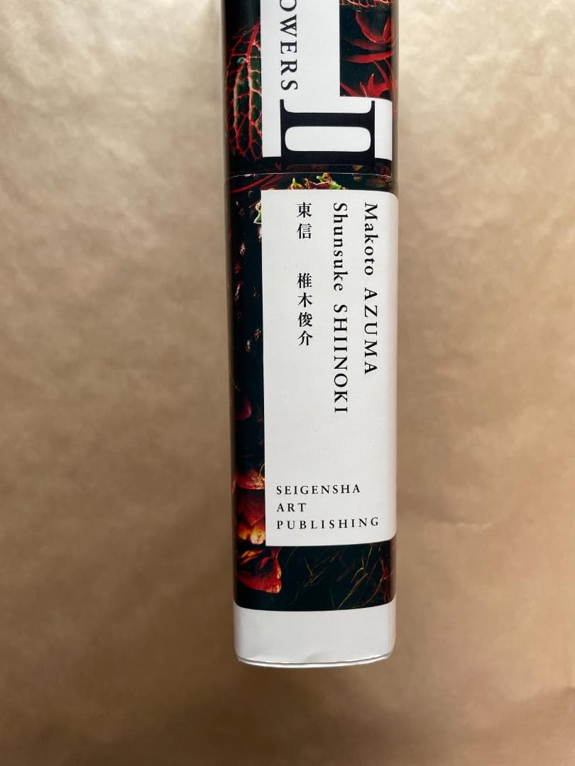 植物図鑑 ENCYCLOPEDIA OF FLOWERS 2 東信　椎木俊介 — image 4