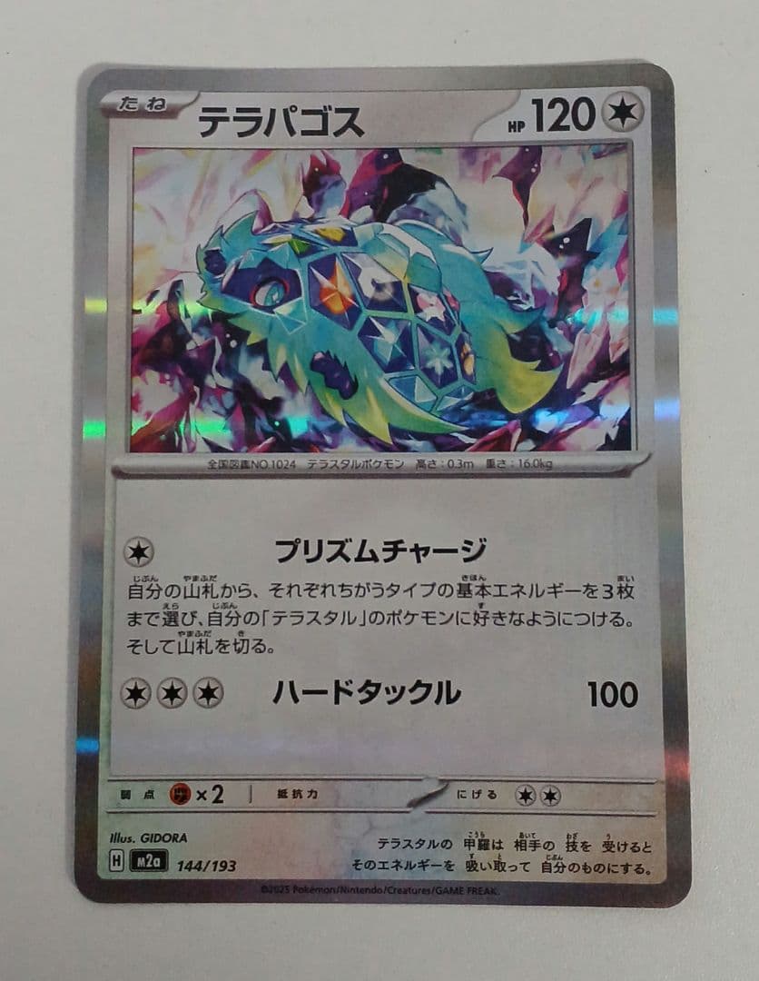 スグリ&テラパゴスex&テラパゴスm2a&ゼロの大空洞 — image 4