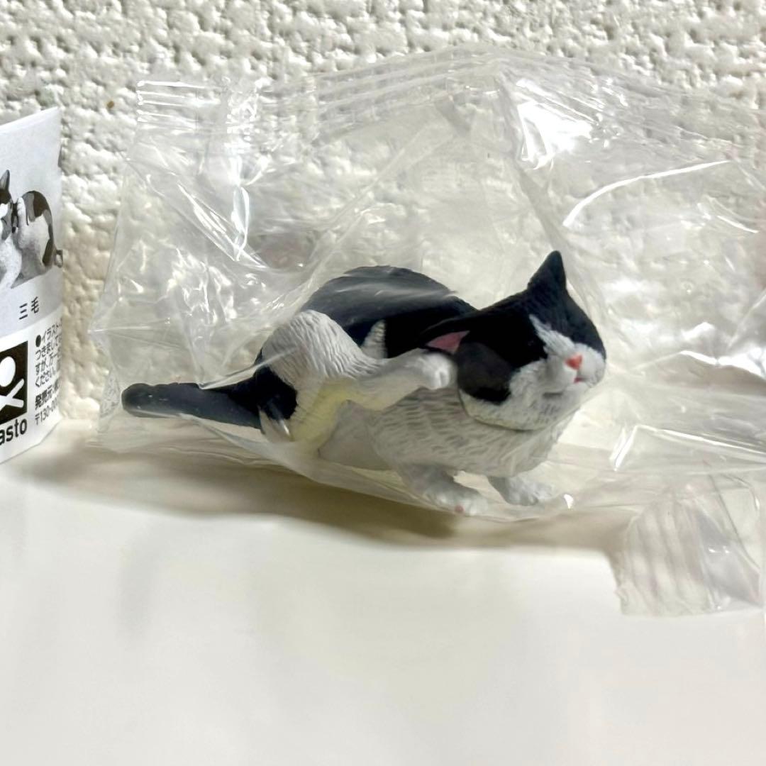 スタンドストーンズ　灰色メロン　カイカイ　猫　白黒（ハチワレ） — image 2