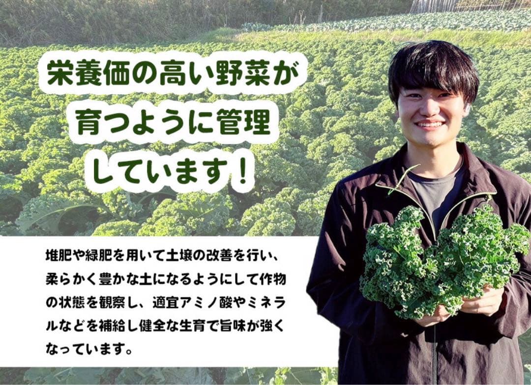 【愛知県産】新カリーノケール 250g — image 3