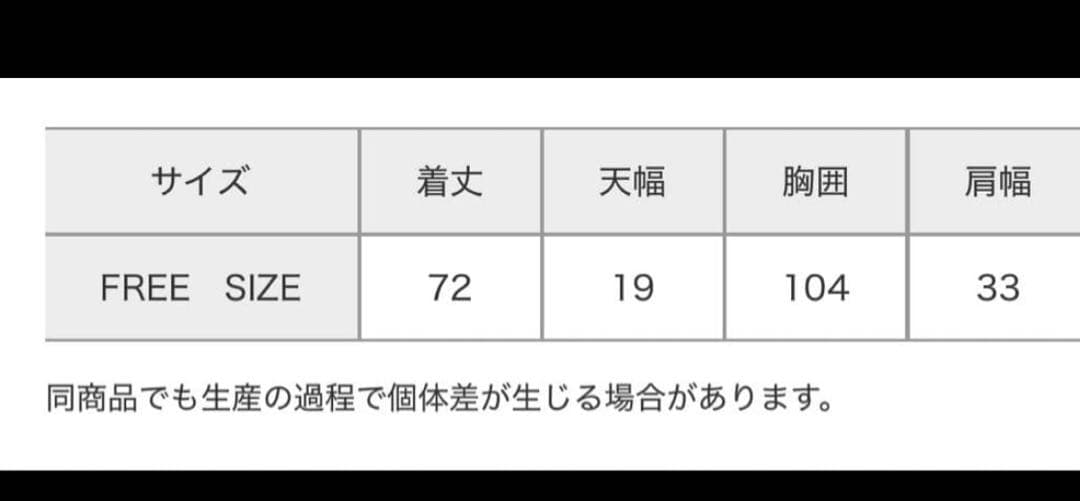 LEPSIM ニュアンス柄レーシーベスト　ブラック — image 5