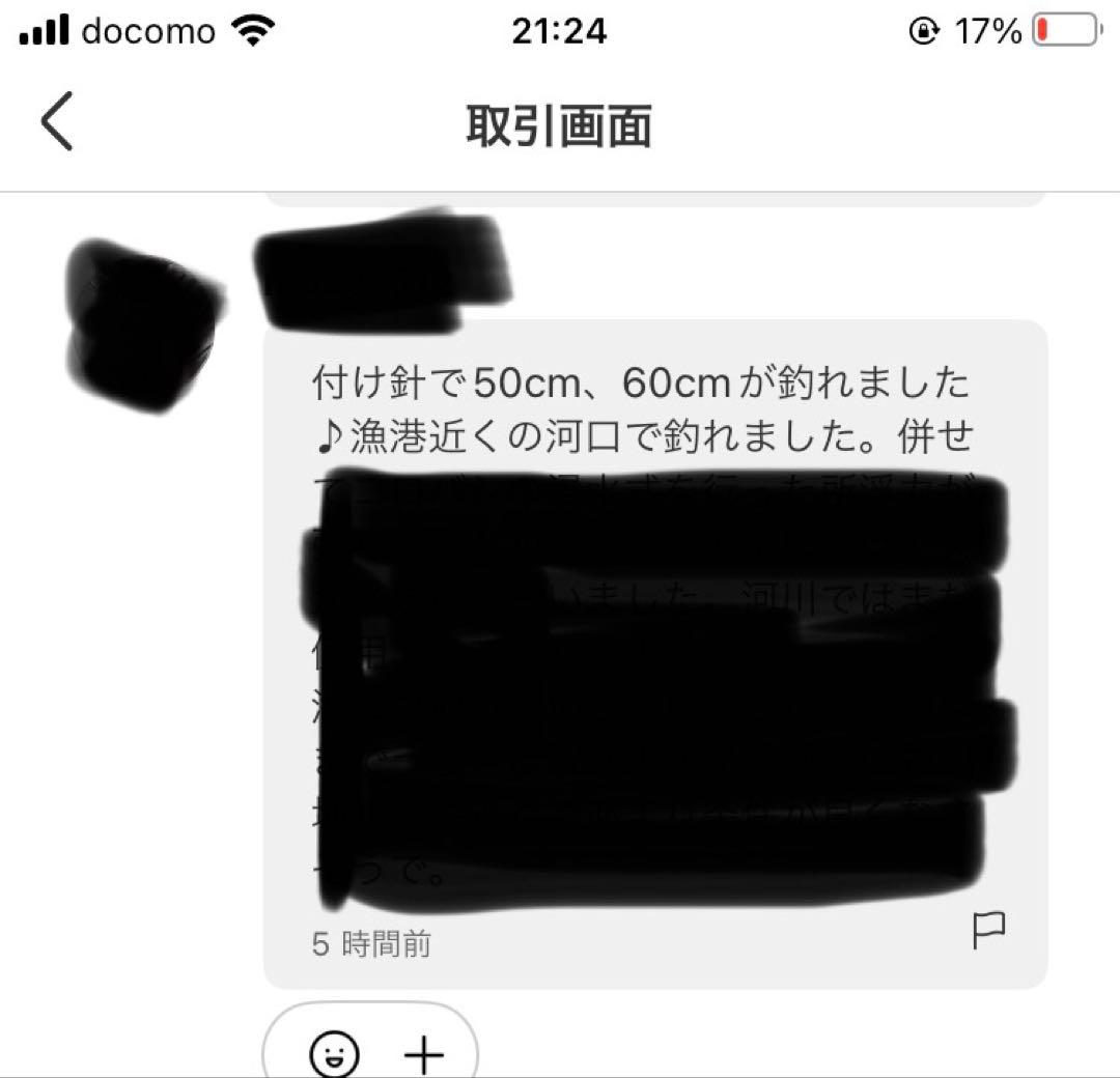 6個竿オモリ不要 ウナギ仕掛け つけ針仕掛け 説明書付き — image 4