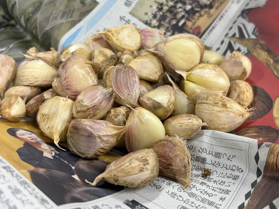 高知県産　新ニンニク　バラ売り　200g〜250g — image 2