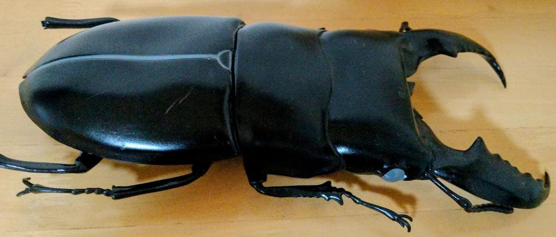 ヒラタクワガタ　MEGA　フィギュア　昆虫　クワガタムシ　大きい　ヒラタ　BIG — image 2