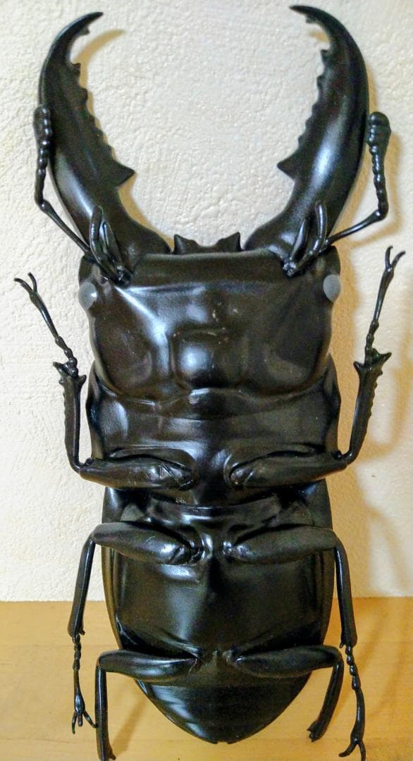 ヒラタクワガタ　MEGA　フィギュア　昆虫　クワガタムシ　大きい　ヒラタ　BIG — image 5