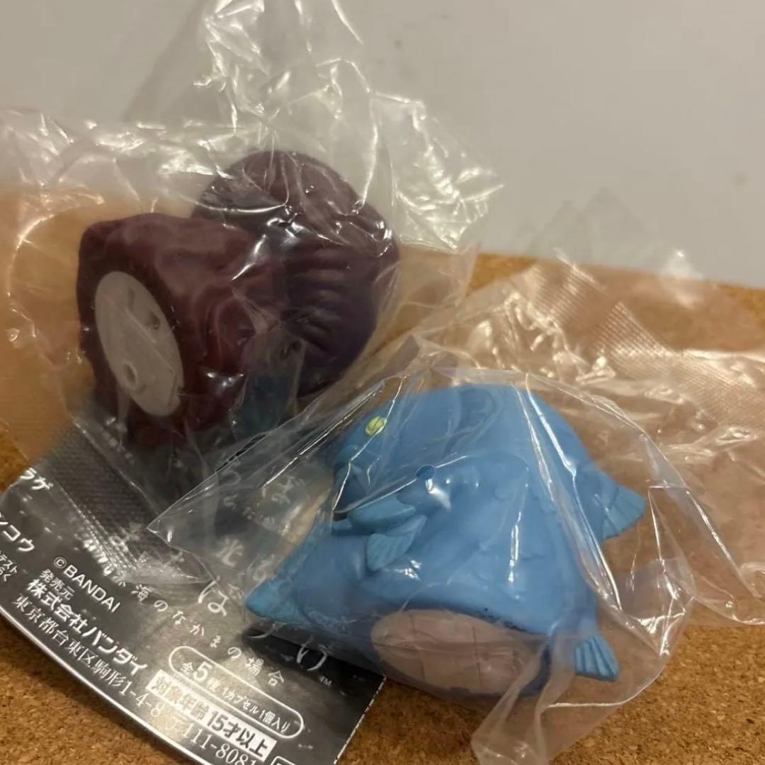 光るまちぼうけ　深海のなかまの場合　シーラカンス　ダイオウクラゲセット — image 4