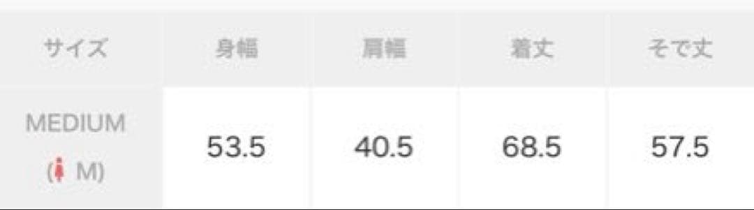 BELLUNA PLUS イージーケア！コットンタッチシャツ　ブルー　M — image 5