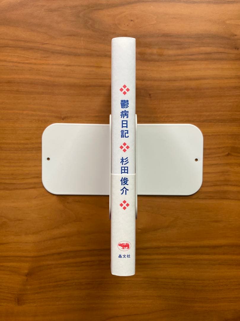 「鬱病日記」 杉田俊介 — image 3