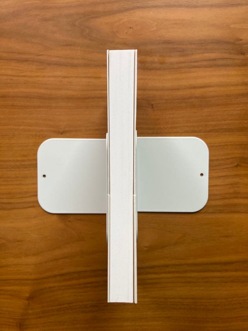 「鬱病日記」 杉田俊介 — image 4