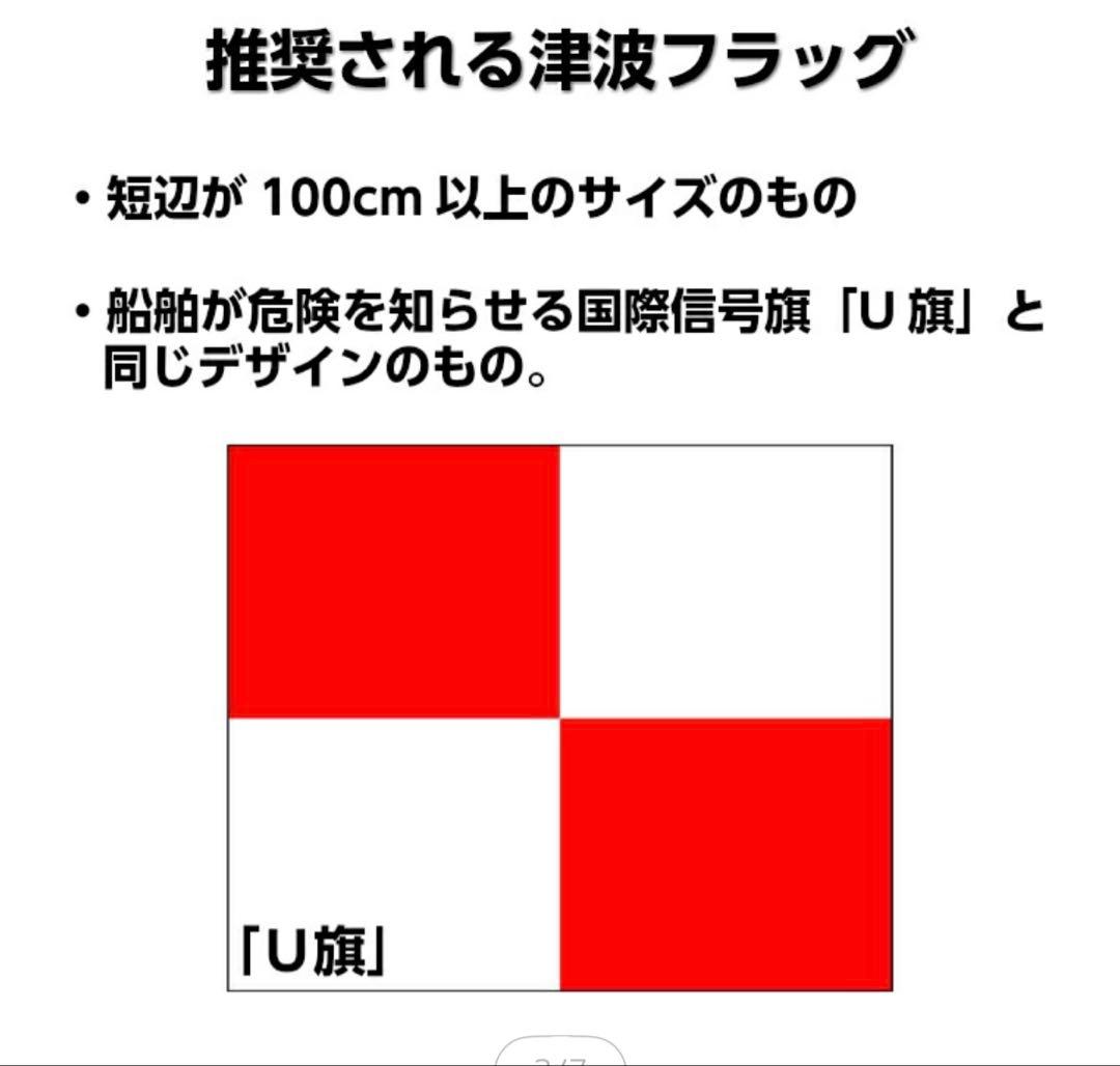 津波が予測される地域の必須アイテム。津波フラッグ。100x150センチ — image 3