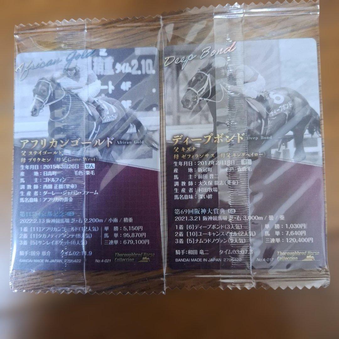 サラブレッドコレクション第4R アフリカンゴールド&ディープポンド — image 2