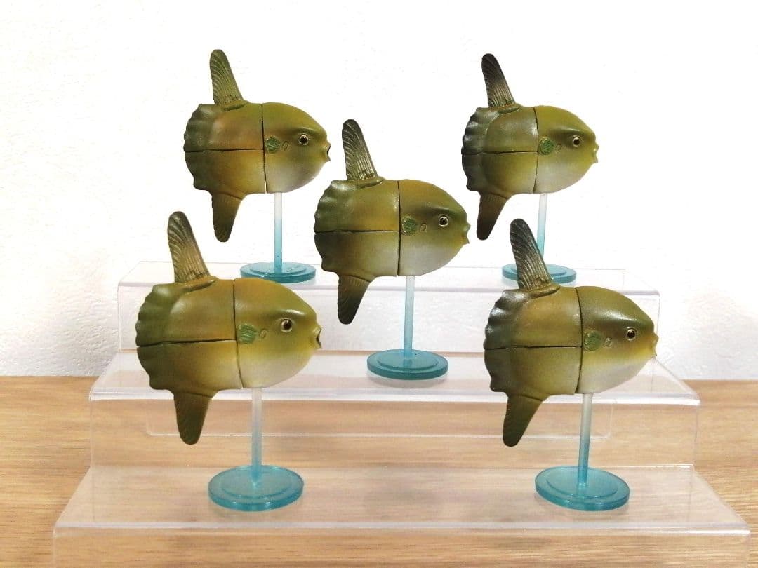 マンボウ 5点 — image 2