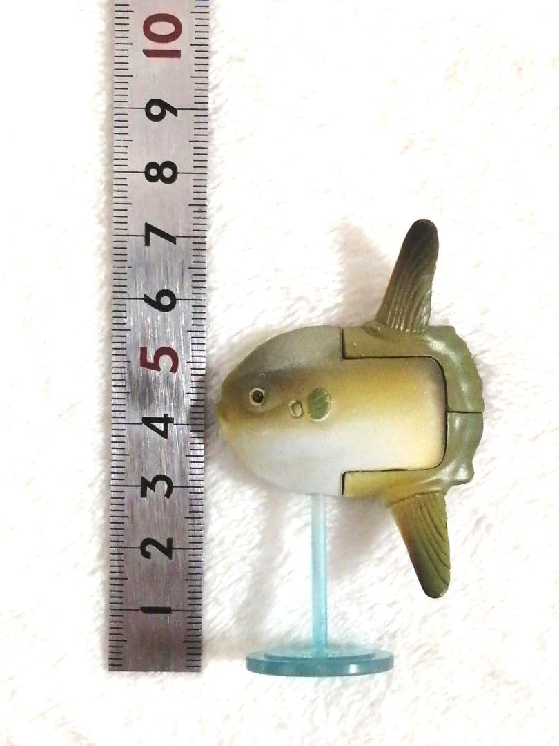 マンボウ 5点 — image 4