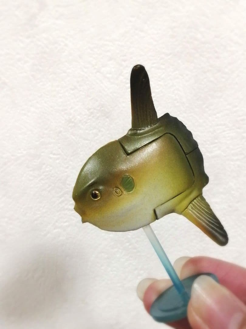 マンボウ 5点 — image 5