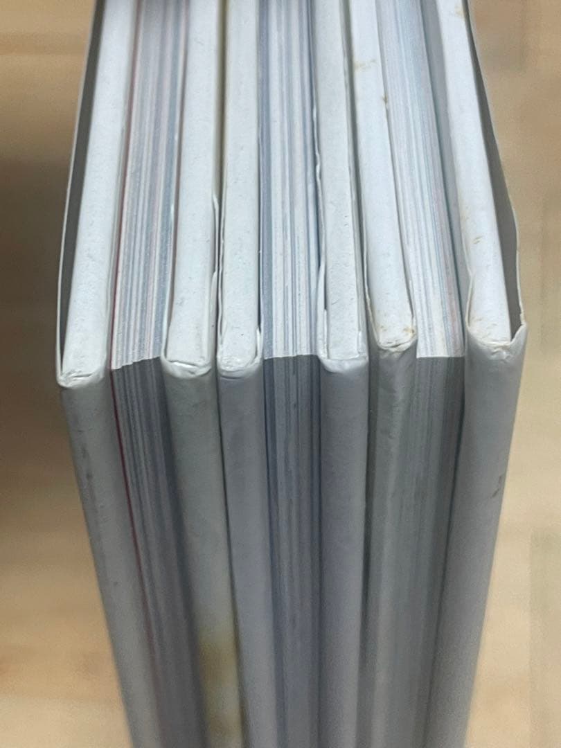 【月曜値下げ】【３冊セット】　宇都宮隆 プロデュース 　愛猫写真集　レア　希少 — image 4
