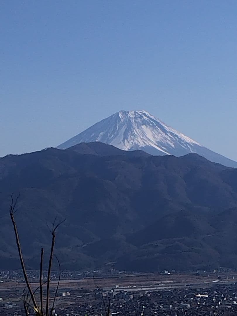 山梨県産　アカシア蜂蜜　1200g（ビン）　1本入り　2025年5月採り — image 4