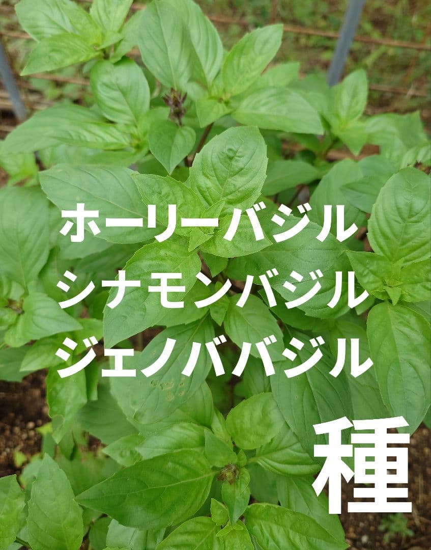 もふฅプロフ必読!！様 リクエスト 2点 まとめ商品 — image 2