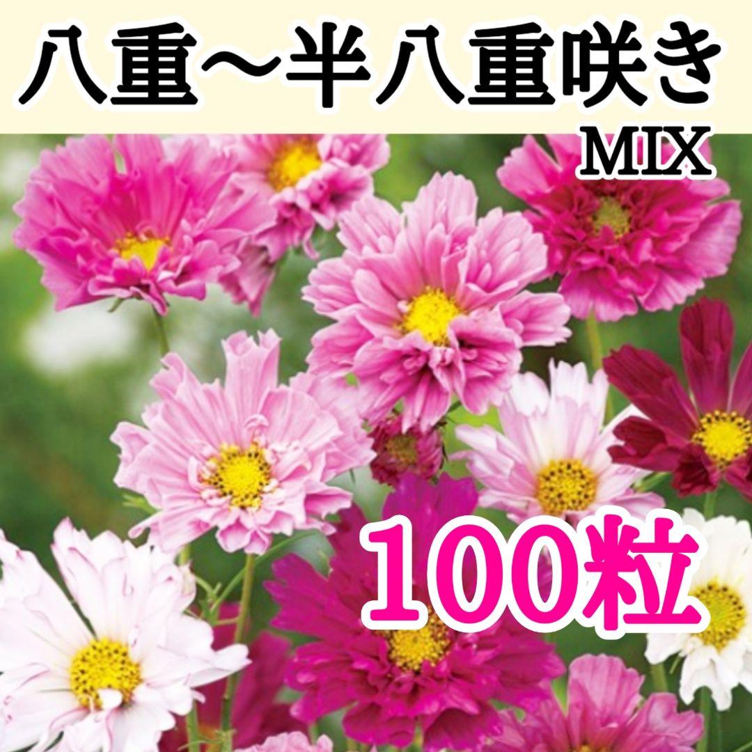 6/21　えりえり様 リクエスト 2点 まとめ商品 — image 2