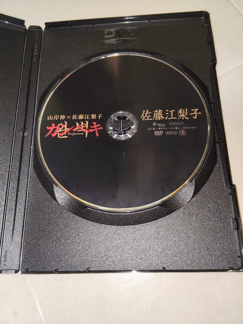 佐藤江梨子 DVD 力ペキ Perfection — image 4