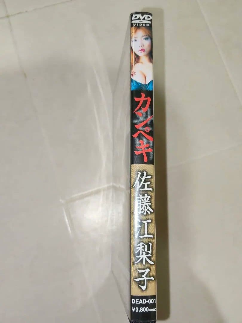 佐藤江梨子 DVD 力ペキ Perfection — image 5
