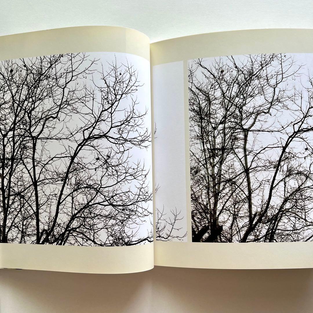 Uta Barth 写真集 White Blind (Bright Red) — image 2