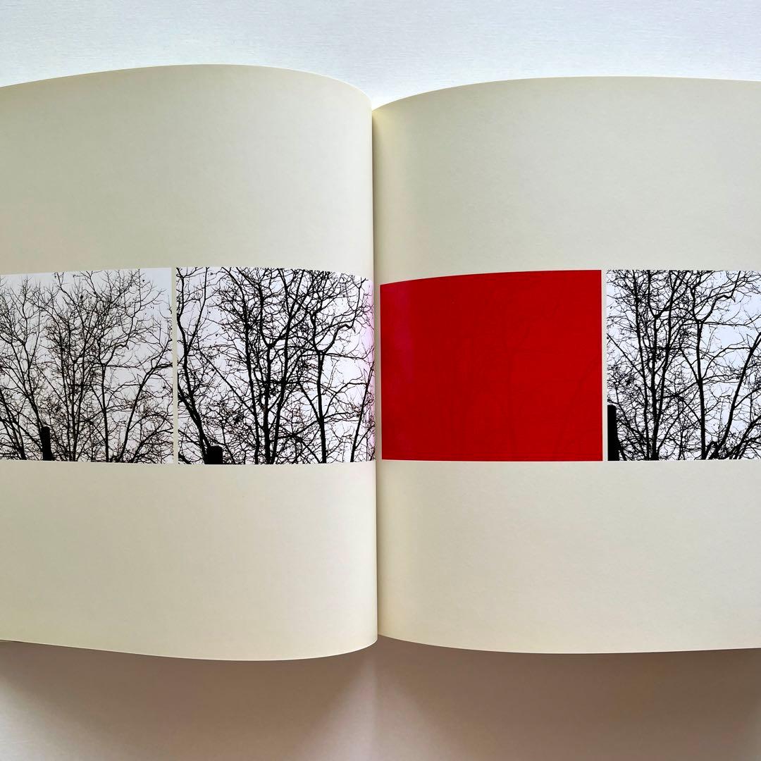 Uta Barth 写真集 White Blind (Bright Red) — image 3