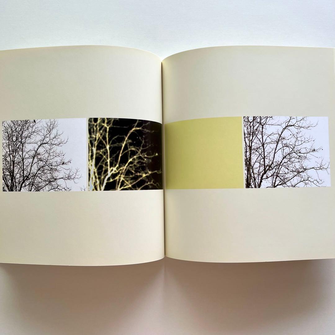 Uta Barth 写真集 White Blind (Bright Red) — image 4
