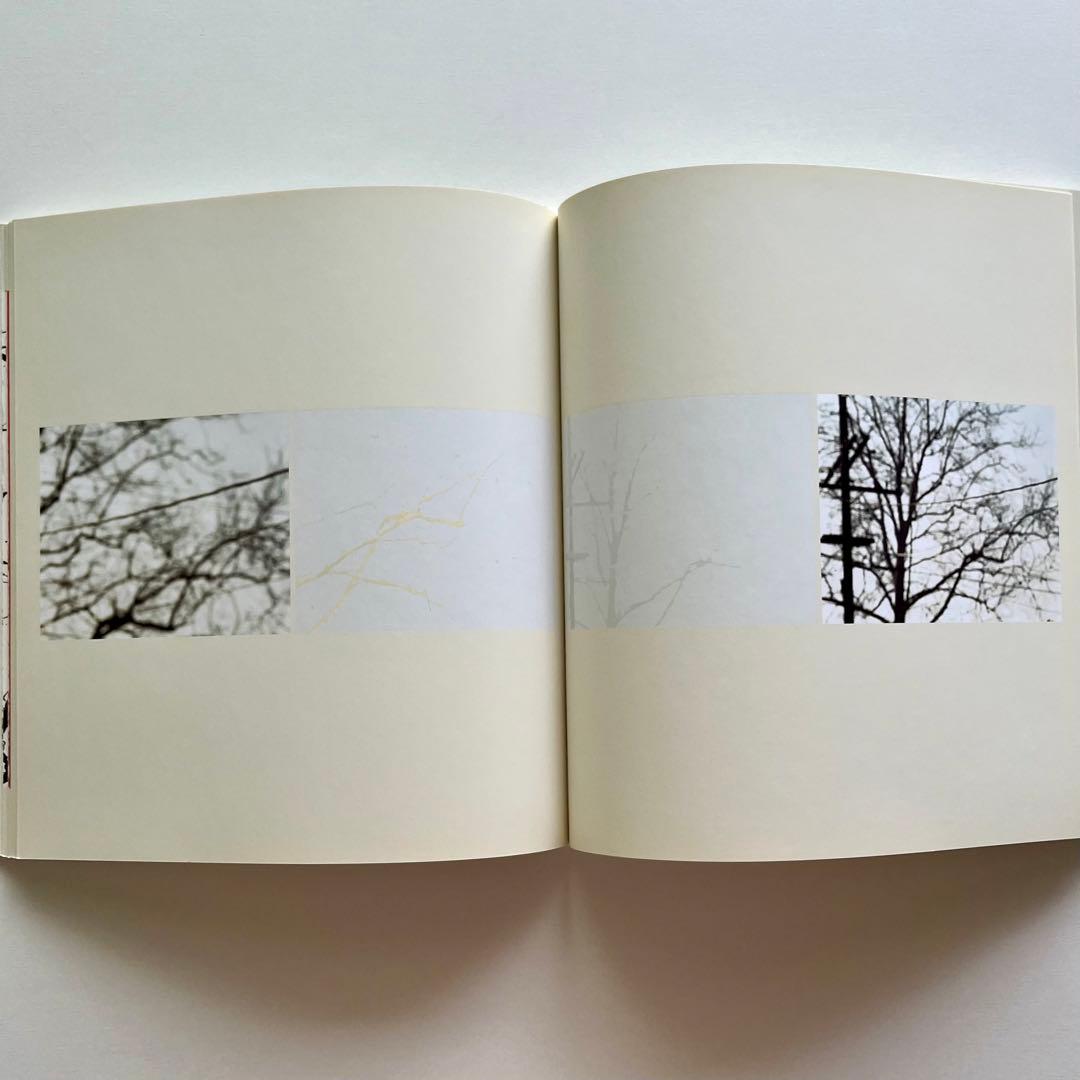 Uta Barth 写真集 White Blind (Bright Red) — image 5
