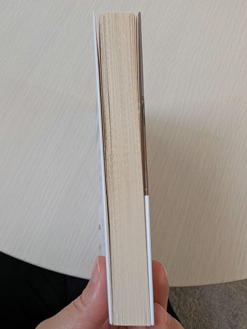 インスタント・ハッピーエンド 桜川ヒロ 小説 — image 5