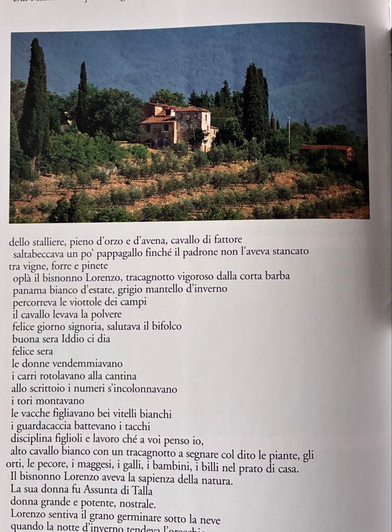 IL BORRO — image 2
