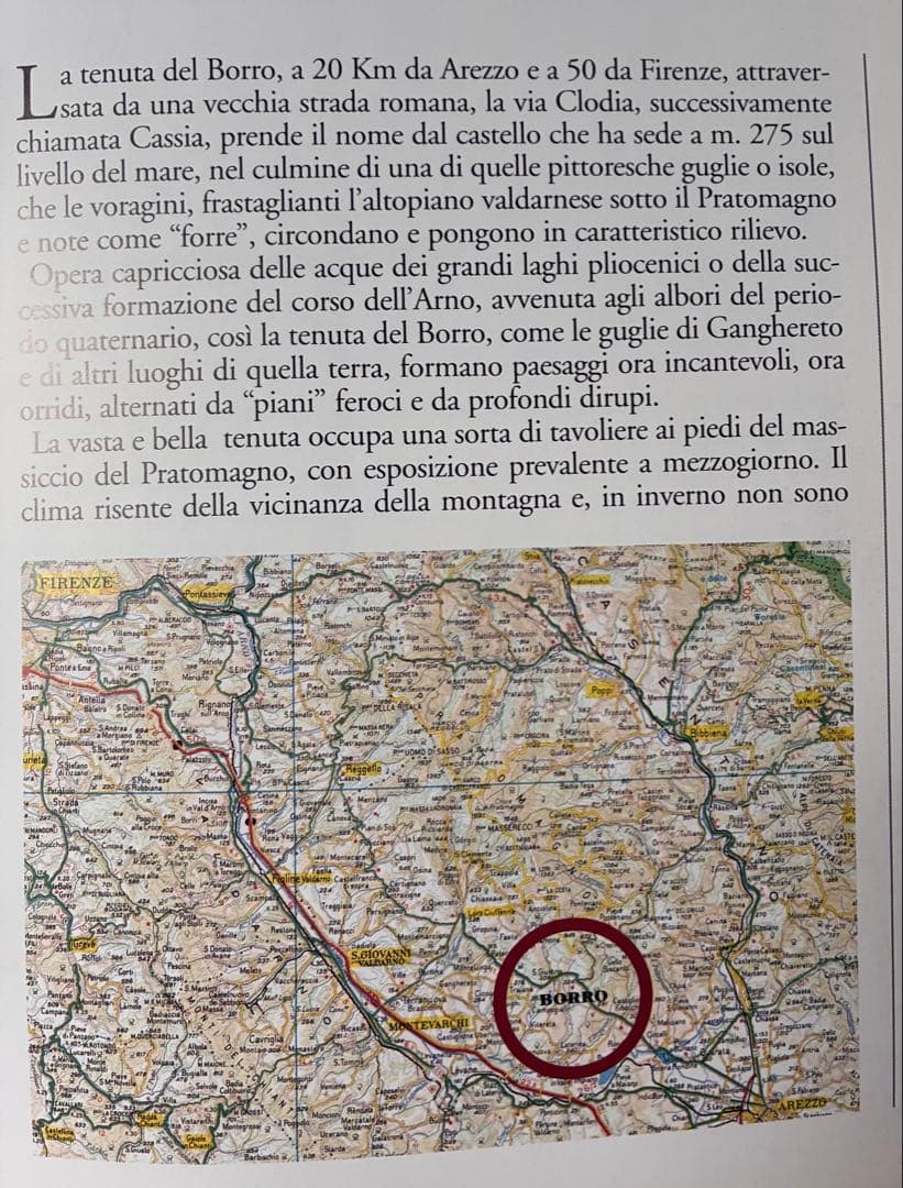 IL BORRO — image 3