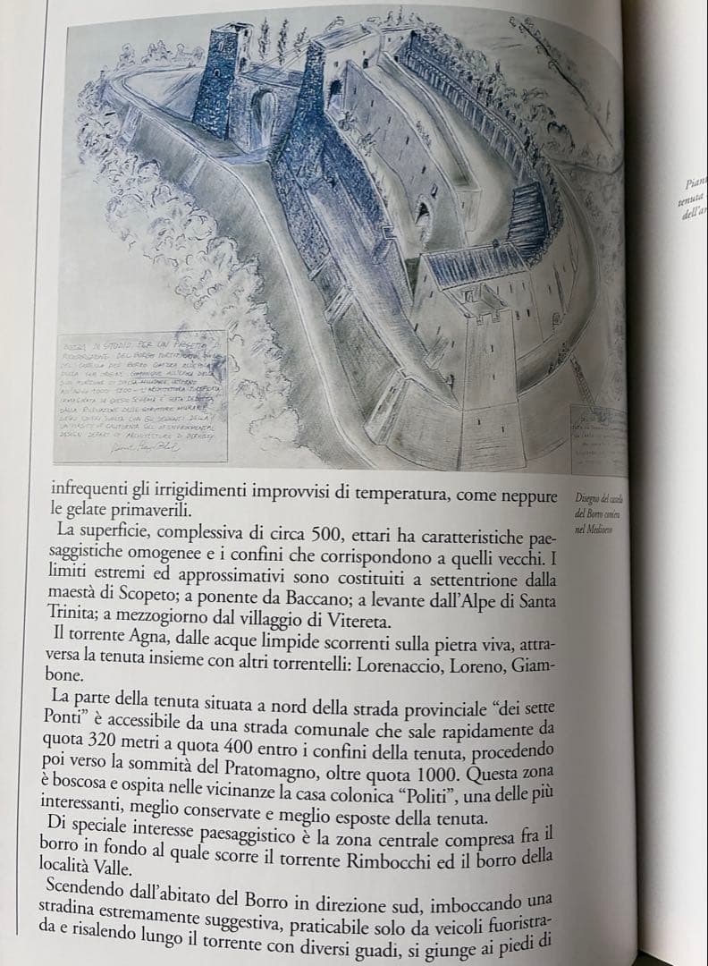 IL BORRO — image 4