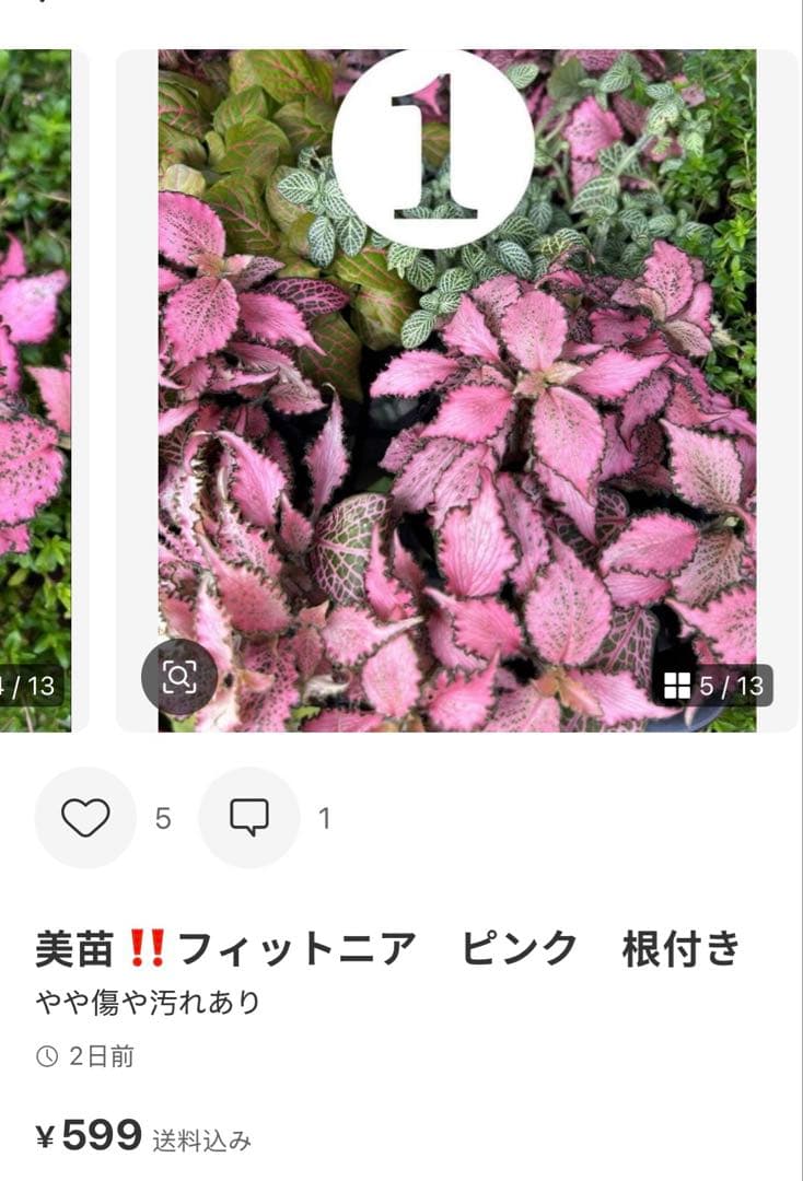 。様専用　2点まとめ買い — image 2