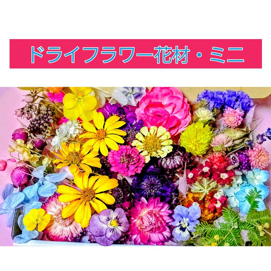 ドライフラワー花材(ミニ) — image 2
