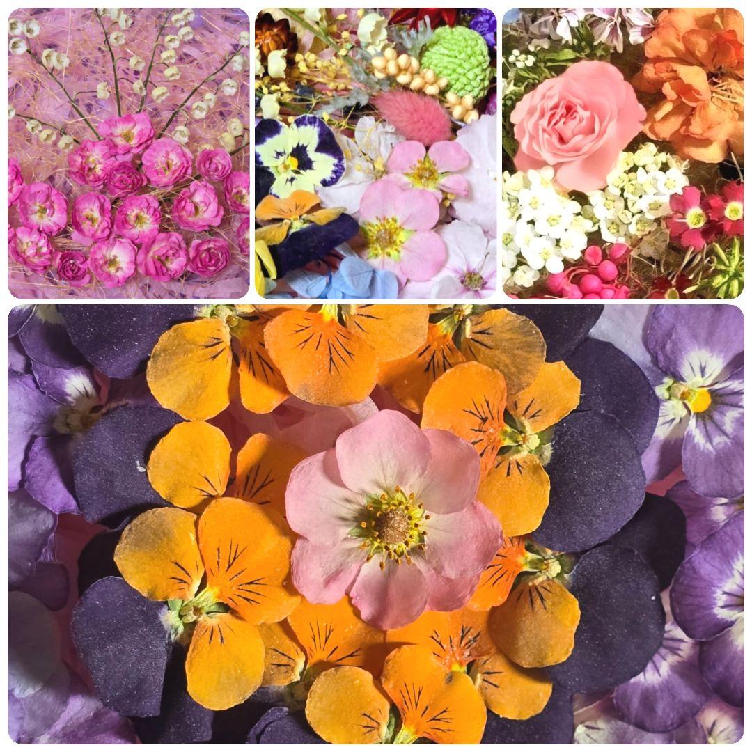 ドライフラワー花材(ミニ) — image 4