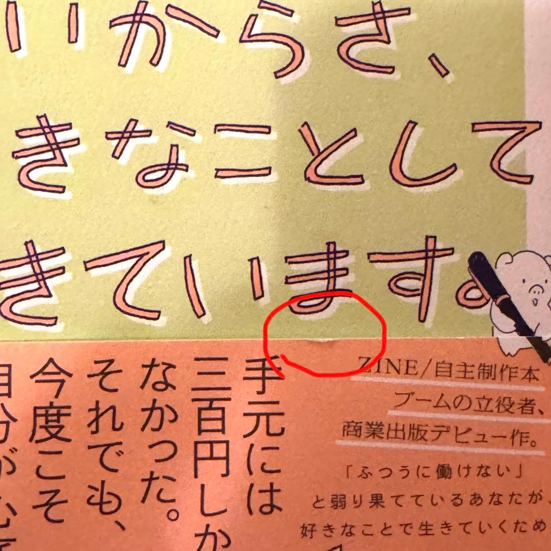 ふつうに働けないからさ、好きなことして生きています。【平城さやか】 — image 3